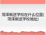 菏泽叛逆学校在什么位置(菏泽叛逆学校地址)