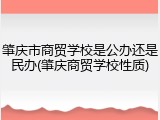 肇庆市商贸学校是公办还是民办(肇庆商贸学校性质)