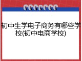 初中生学电子商务有哪些学校(初中电商学校)