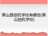 黑山县挖机学校有哪些(黑山挖机学校)