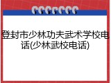 登封市少林功夫武术学校电话(少林武校电话)