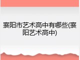 襄阳市艺术高中有哪些(襄阳艺术高中)