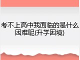 考不上高中我面临的是什么困难呢(升学困境)