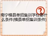 南宁横县单招集训学校要什么条件(横县单招集训条件)