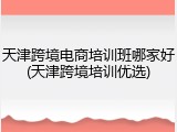 天津跨境电商培训班哪家好(天津跨境培训优选)