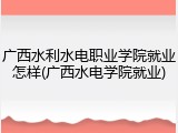 广西水利水电职业学院就业怎样(广西水电学院就业)