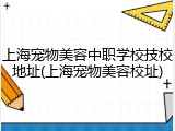 上海宠物美容中职学校技校地址(上海宠物美容校址)