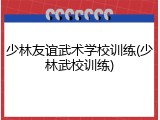 少林友谊武术学校训练(少林武校训练)