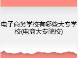 电子商务学校有哪些大专学校(电商大专院校)