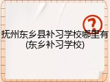 抚州东乡县补习学校哪里有(东乡补习学校)