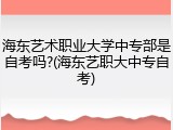 海东艺术职业大学中专部是自考吗?(海东艺职大中专自考)