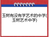 玉树有没有学艺术的中学(玉树艺术中学)