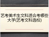 艺考美术生文科适合考哪些大学(艺考文科选校)