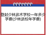 登封少林武术学校一年多少学费(少林武校年学费)
