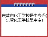东营市化工学校是中专吗(东营化工学校是中专)