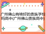 广州佛山有啥好的贵族学校吗高中(广州佛山贵族高中)
