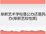 阜新艺术学校是公办还是民办(阜新艺校性质)