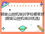 铜官山挖机培训学校哪家好(铜官山挖机培训优选)