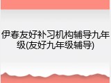 伊春友好补习机构辅导九年级(友好九年级辅导)