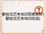 攀枝花艺考培训班哪家好(攀枝花艺考培训优选)