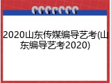 2020山东传媒编导艺考(山东编导艺考2020)
