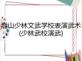 嵩山少林文武学校表演武术(少林武校演武)