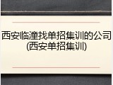 西安临潼找单招集训的公司(西安单招集训)