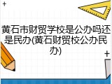 黄石市财贸学校是公办吗还是民办(黄石财贸校公办民办)