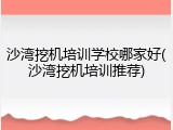 沙湾挖机培训学校哪家好(沙湾挖机培训推荐)