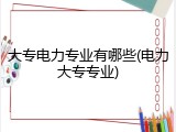 大专电力专业有哪些(电力大专专业)