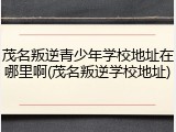 茂名叛逆青少年学校地址在哪里啊(茂名叛逆学校地址)