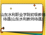 山东水利职业学院初级教师待遇(山东水利教师待遇)