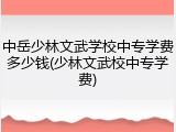 中岳少林文武学校中专学费多少钱(少林文武校中专学费)