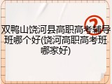 双鸭山饶河县高职高考辅导班哪个好(饶河高职高考班哪家好)