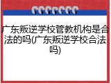 广东叛逆学校管教机构是合法的吗(广东叛逆学校合法吗)