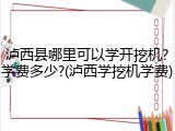 泸西县哪里可以学开挖机?学费多少?(泸西学挖机学费)