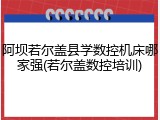 阿坝若尔盖县学数控机床哪家强(若尔盖数控培训)
