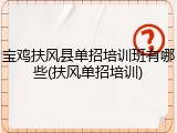 宝鸡扶风县单招培训班有哪些(扶风单招培训)