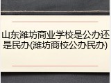 山东潍坊商业学校是公办还是民办(潍坊商校公办民办)