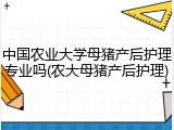中国农业大学母猪产后护理专业吗(农大母猪产后护理)