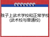 孩子上武术学校和正常学校(武术校与普通校)