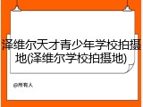 泽维尔天才青少年学校拍摄地(泽维尔学校拍摄地)