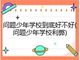 问题少年学校到底好不好(问题少年学校利弊)