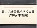 嵩山少林寺武术学校表演(少林武术表演)