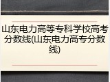 山东电力高等专科学校高考分数线(山东电力高专分数线)