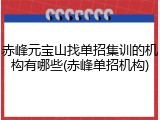 赤峰元宝山找单招集训的机构有哪些(赤峰单招机构)