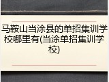 马鞍山当涂县的单招集训学校哪里有(当涂单招集训学校)