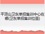 平顶山卫东单招集训中心在哪(卫东单招集训位置)