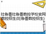 吐鲁番吐鲁番数控学校官网数控招生(吐鲁番数控招生)