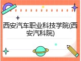 西安汽车职业科技学院(西安汽科院)